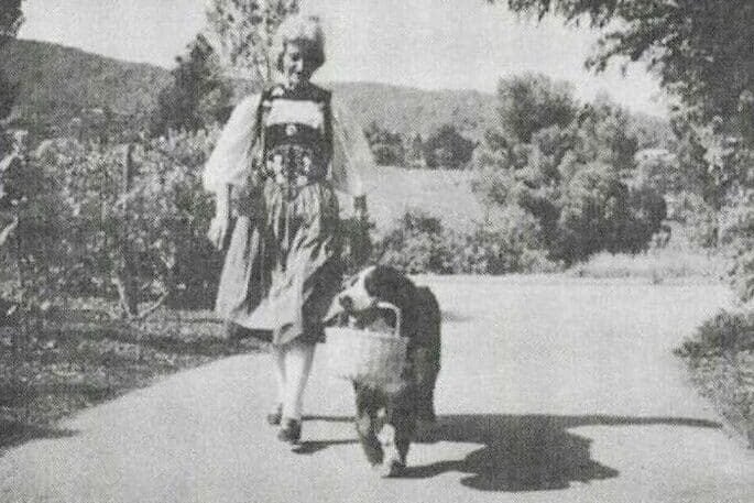 Bernese with girl